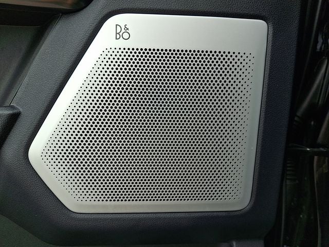 2025 Ford F-250SD Platinum