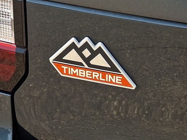 2022 Ford Expedition Timberline